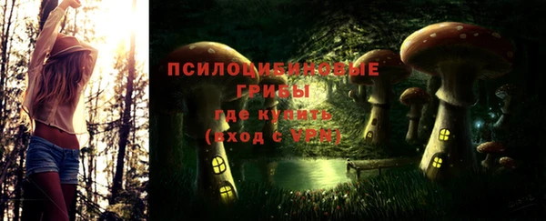spice Белоозёрский