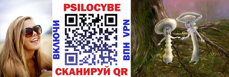 Галлюциногенные грибы Psilocybe  купить наркоту  Лабинск 